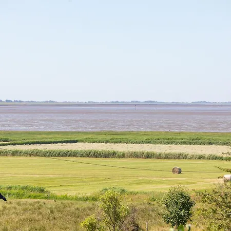 Nordsee Pur Apartman *