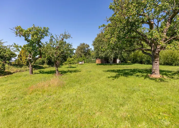 Nordsee Pur Appartement