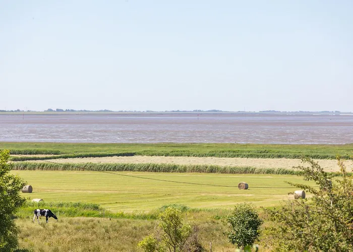 Nordsee Pur Appartement *